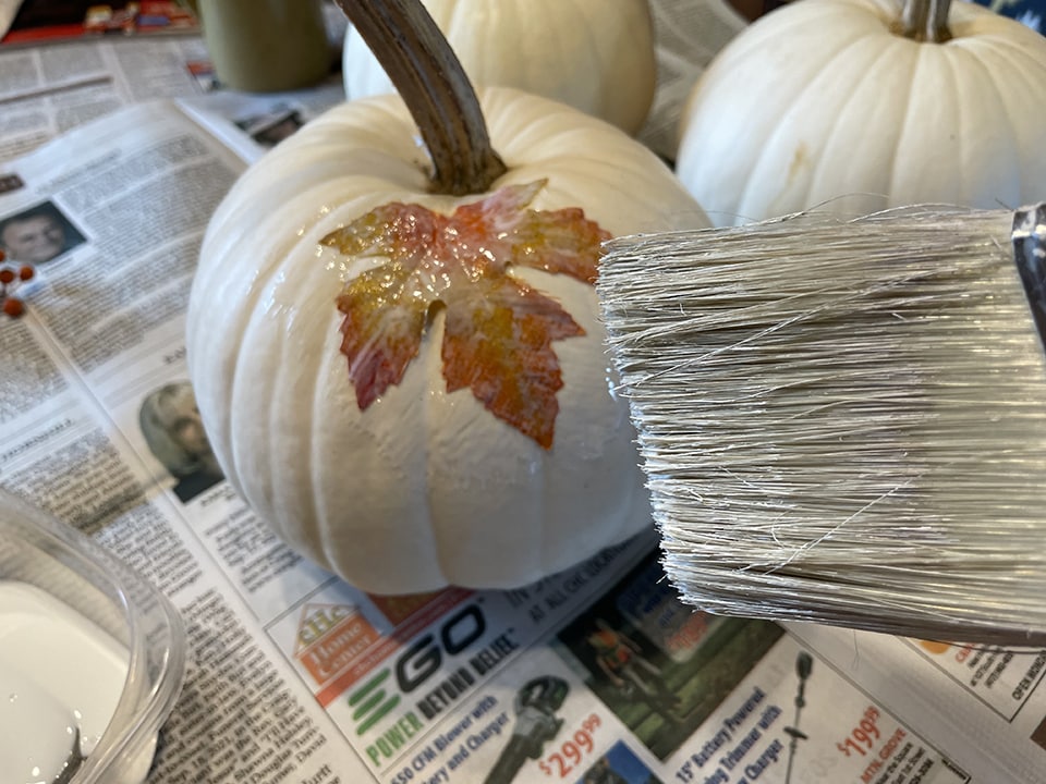 Sealing in the leaves on pumpkins