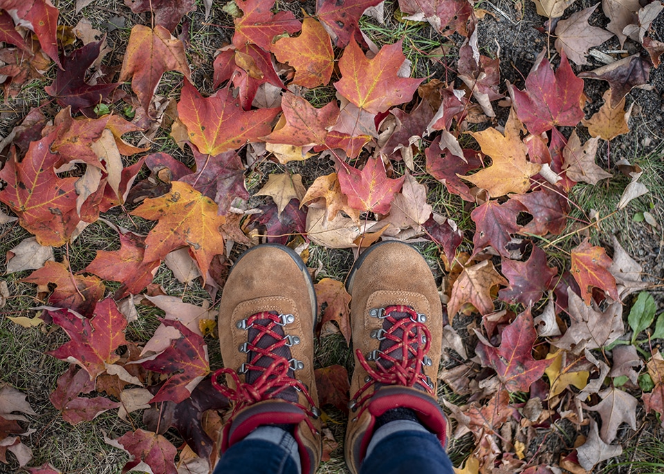 Jenny Anderson leaf peeping hike. Outdoors This Fall