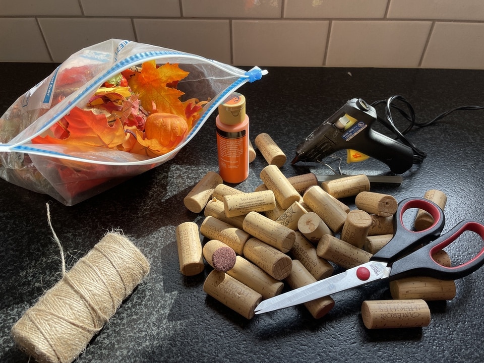 materials for wine cork pumpkin