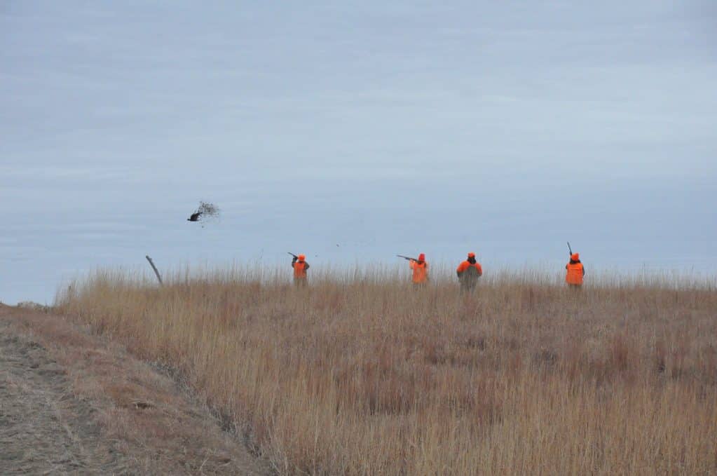 Babbs pheasant Benelli ultralight