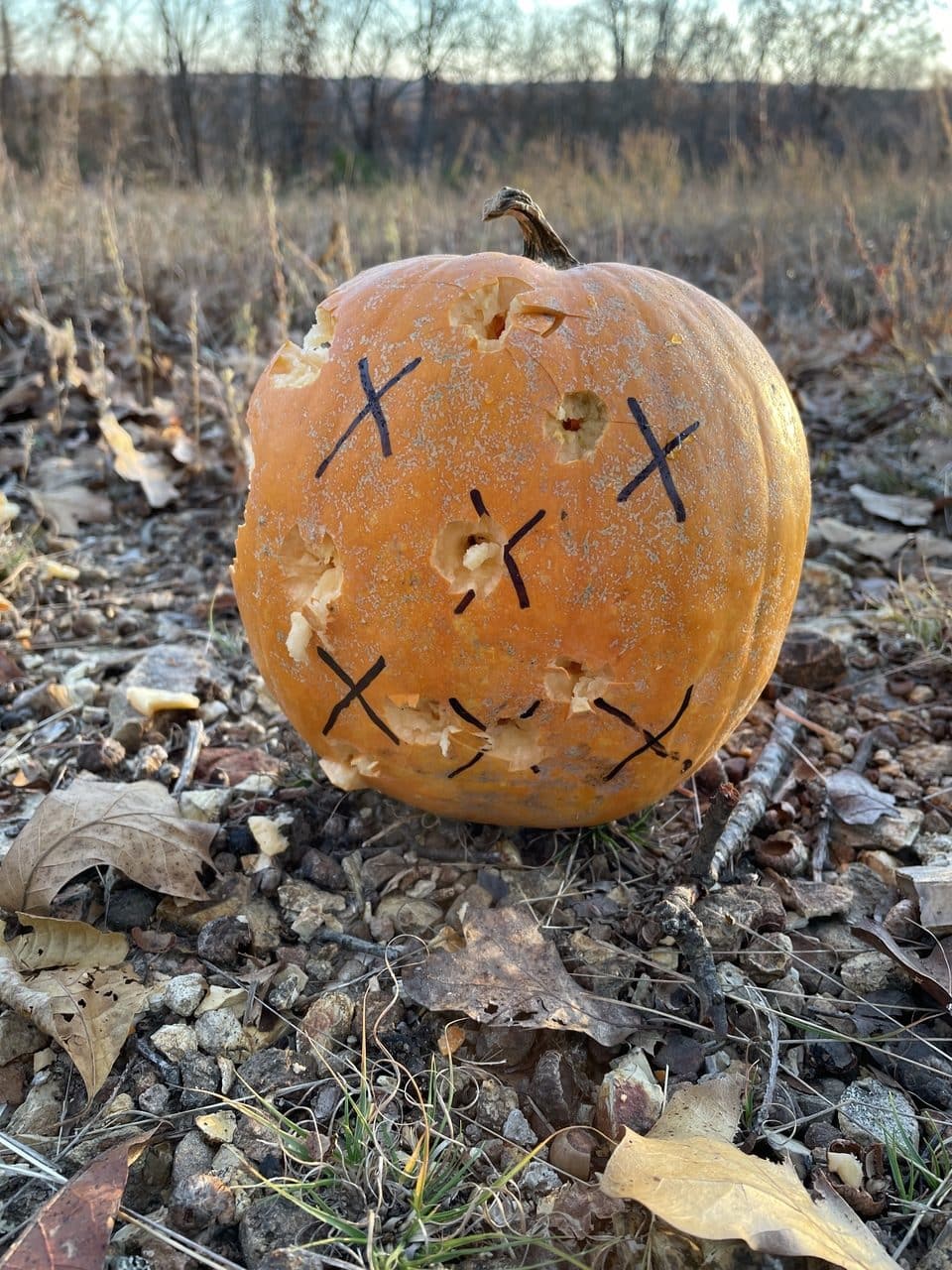 Destroyed pumpkin with Taurus TX22