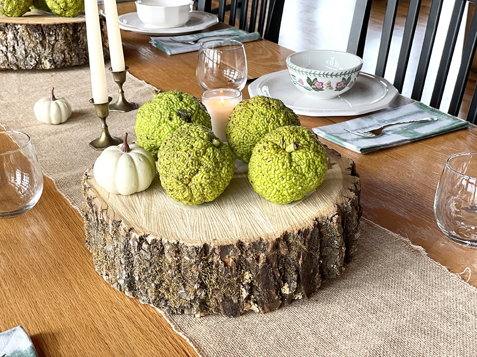 Osage Orange Balls 2