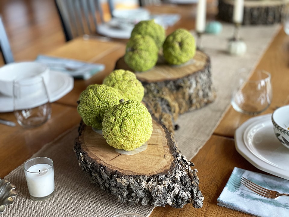 Osage Orange Balls up close