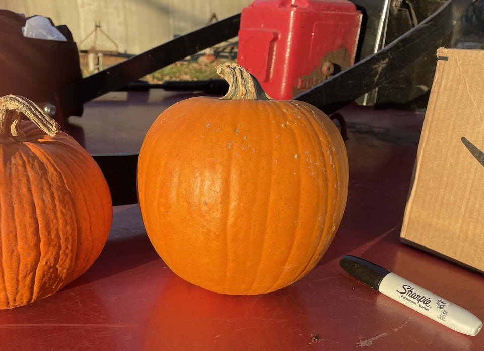 Pumpkin set up