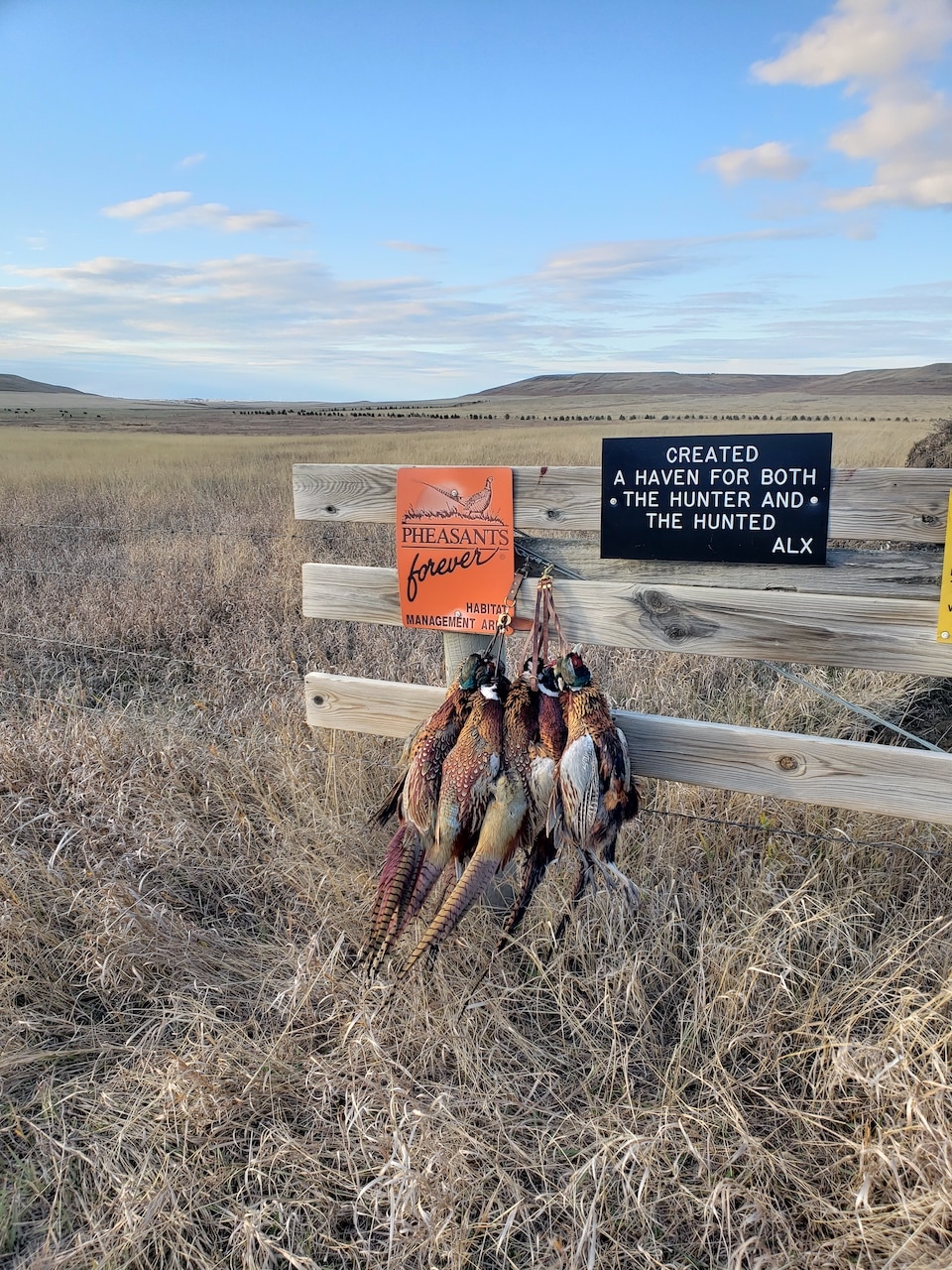 Ashley Smith Pheasants South Dakota