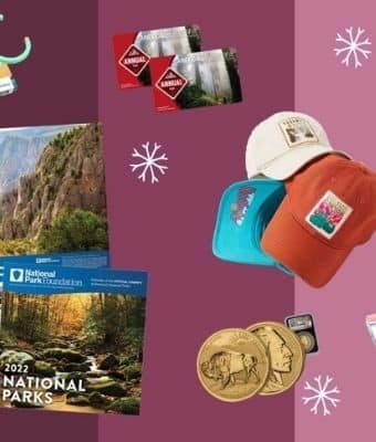 NPF Holiday Gift Guide feature