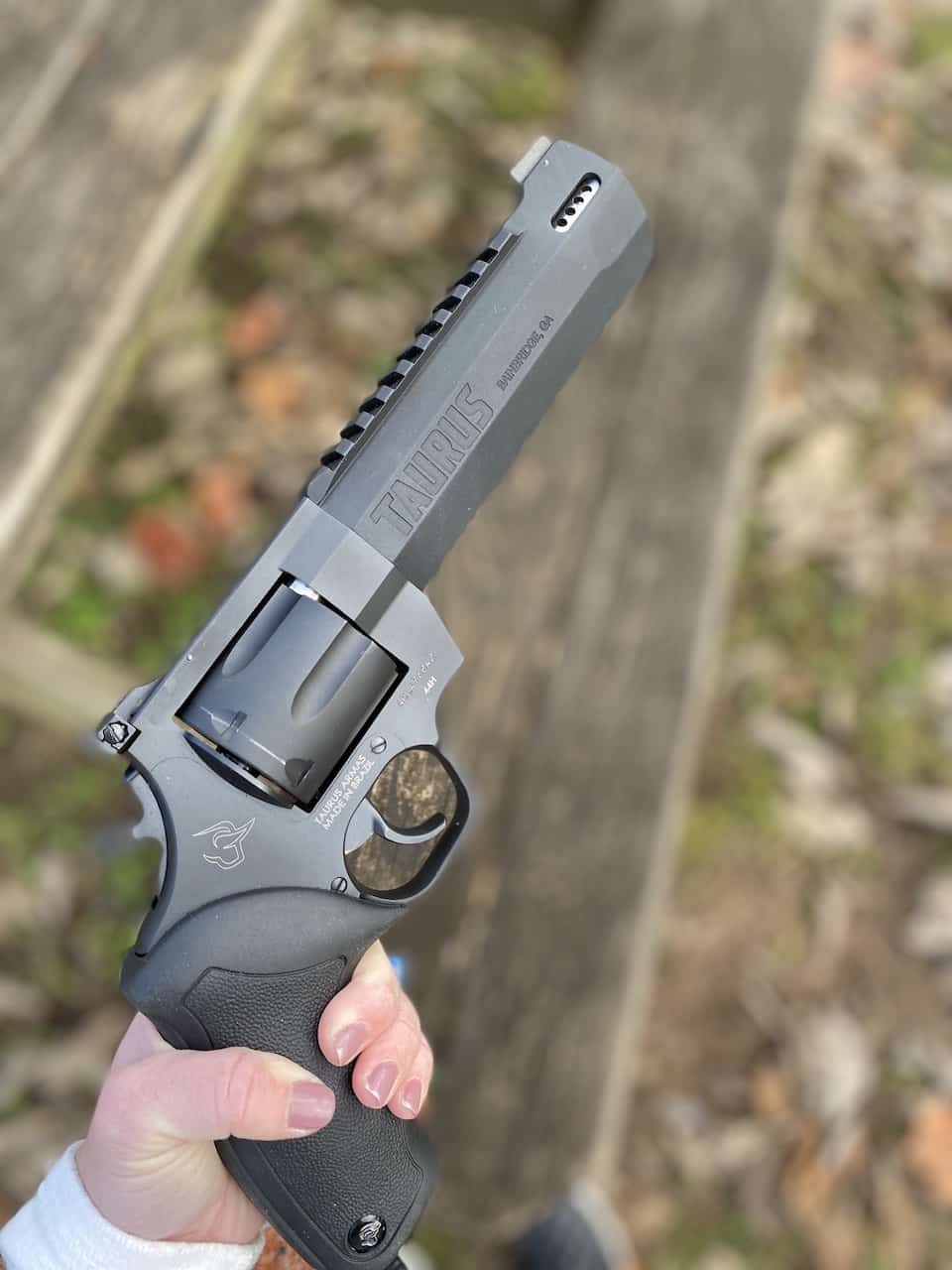 Taurus Raging Hunter with hand