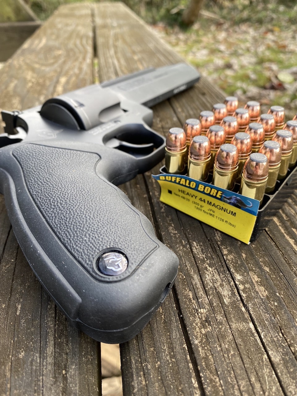 Taurus raging hunter ammo 2