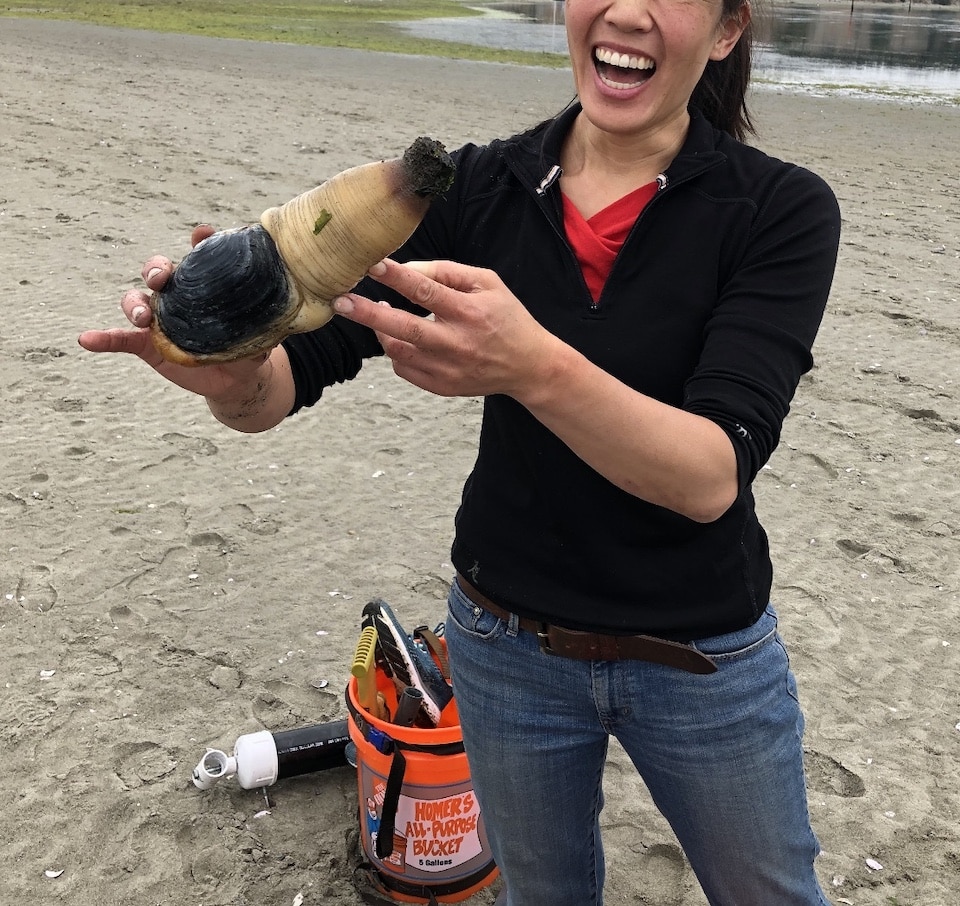 catching the geoduck in Washington State