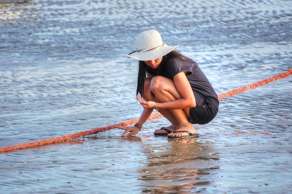 Looking for shells