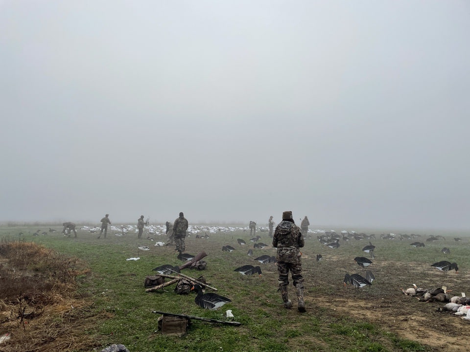 goose decoys Arkansas Duck Hunt