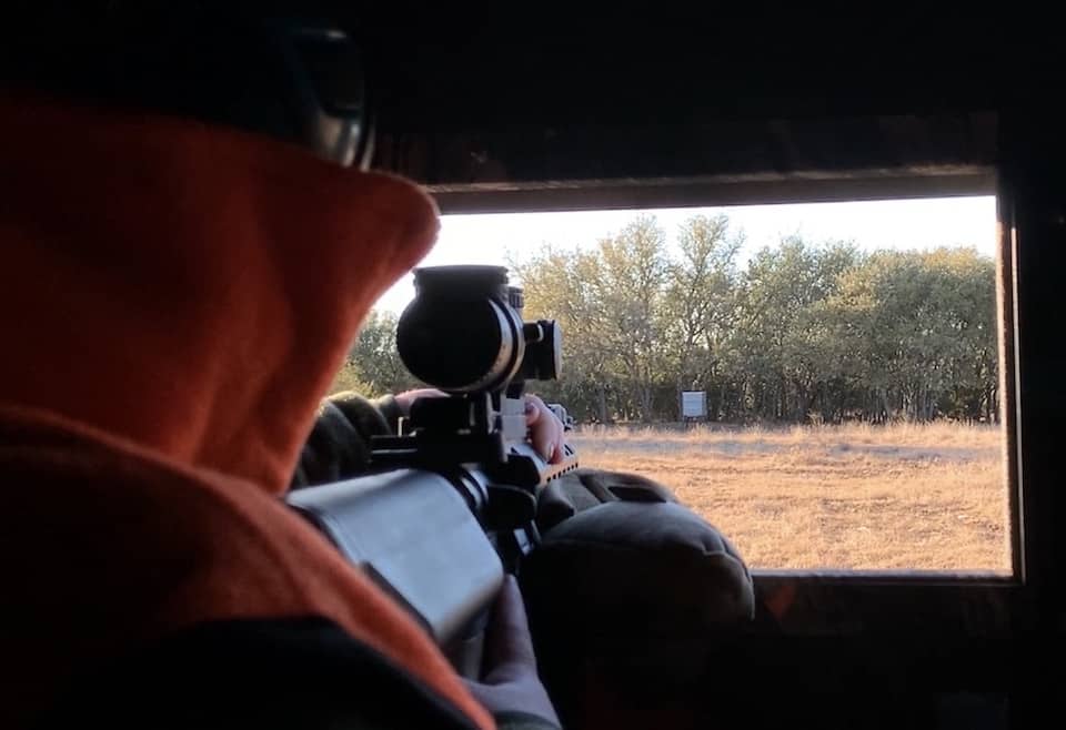 A view from the hunting blind
