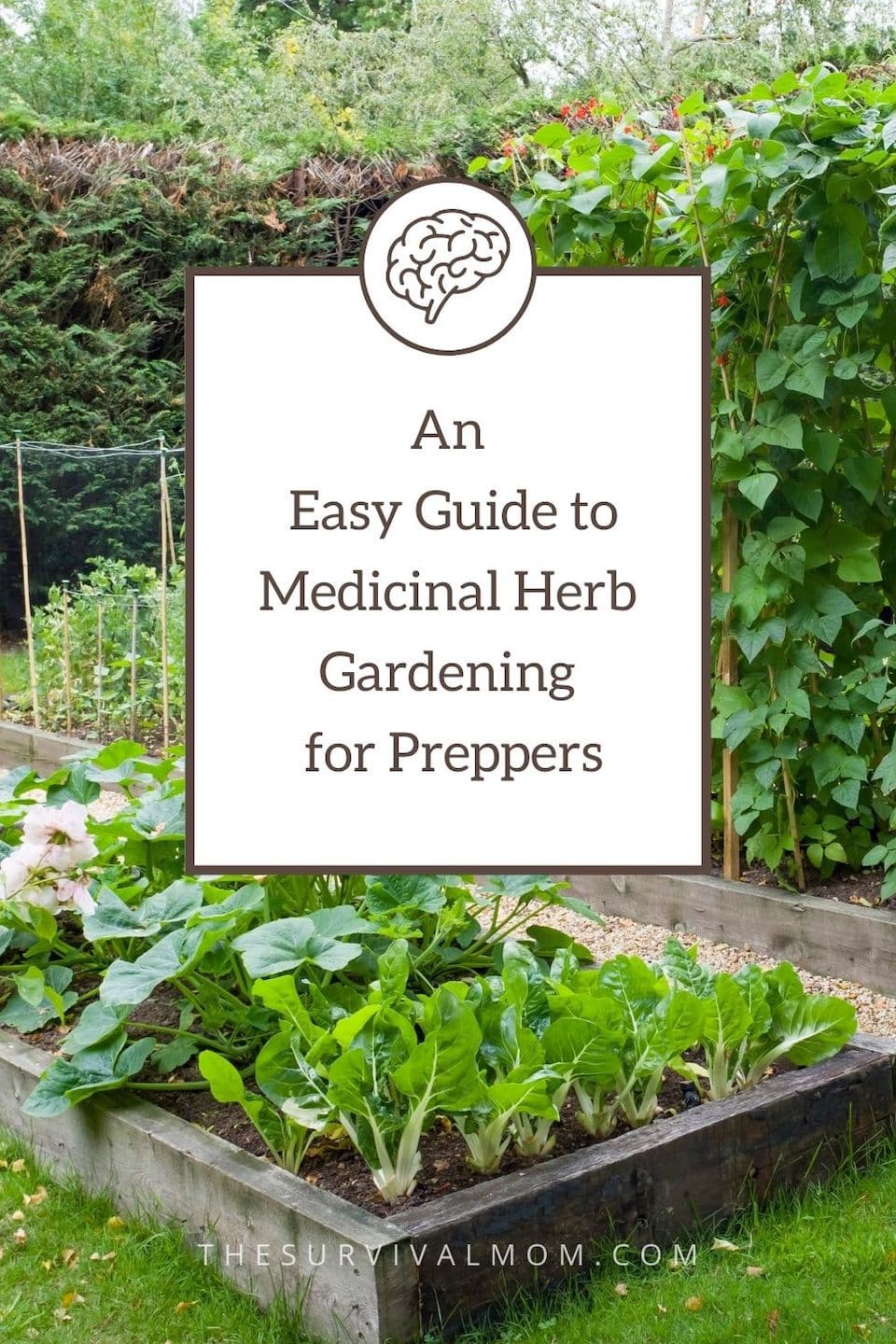 Herb Gardening for Preppers