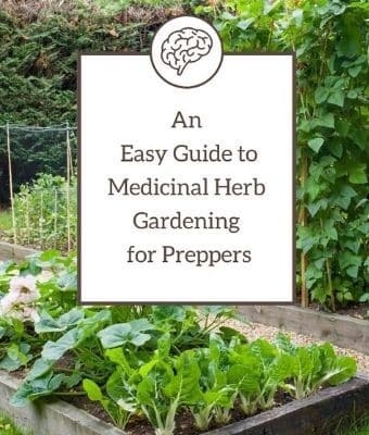 Herb Gardening for Preppers feature