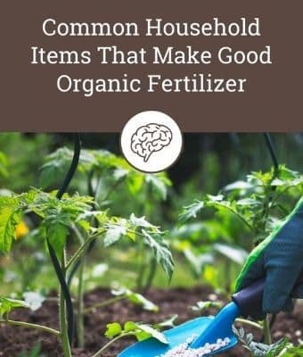 Organic Fertilizer feature