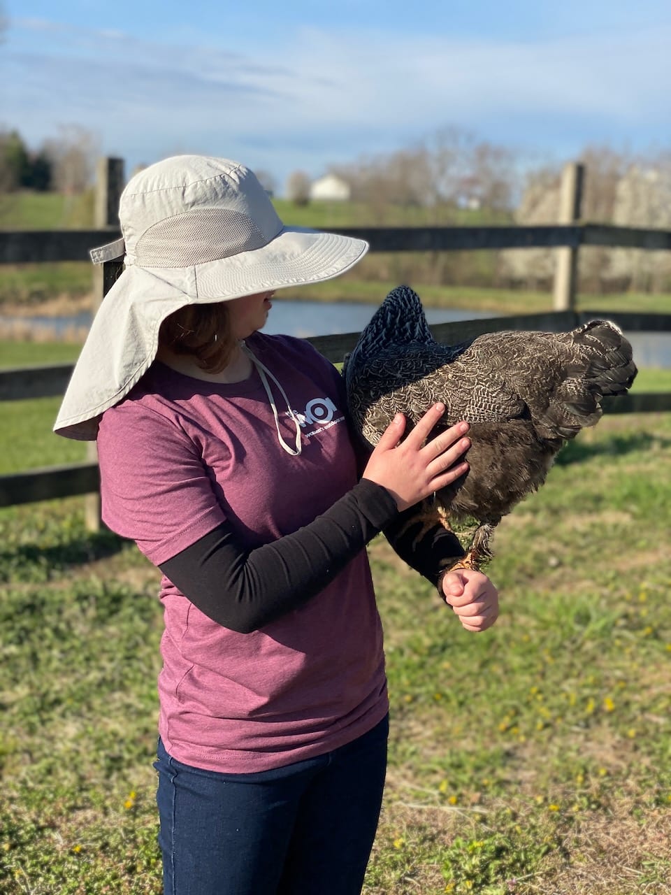 Ben is one of Anna's favorite hens