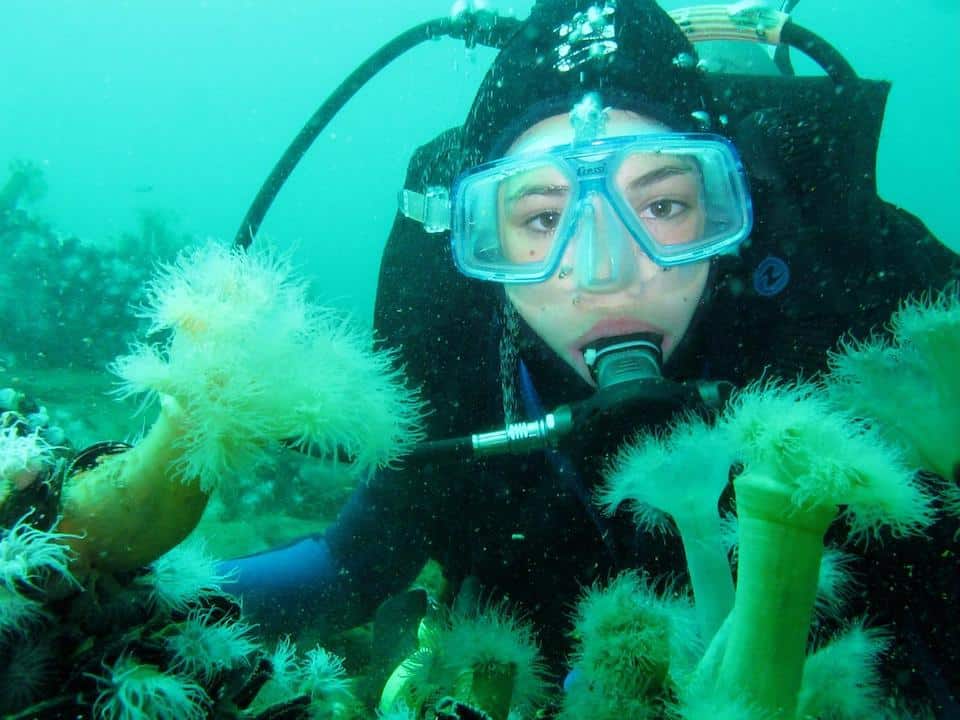 Woman Scuba diving in the ocean