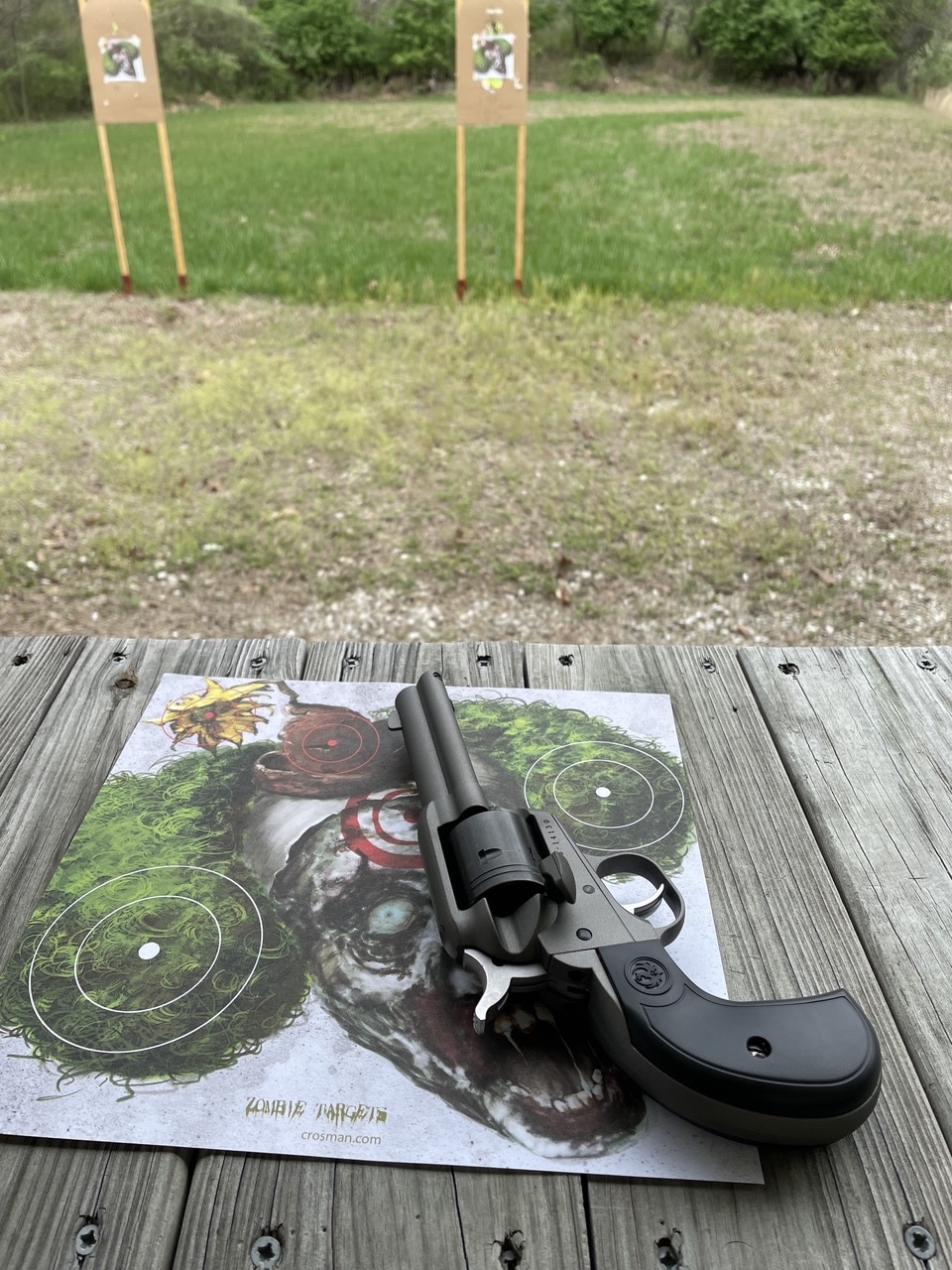 Review: Ruger Wrangler Easy to Shoot and Easy on the Pocketbook