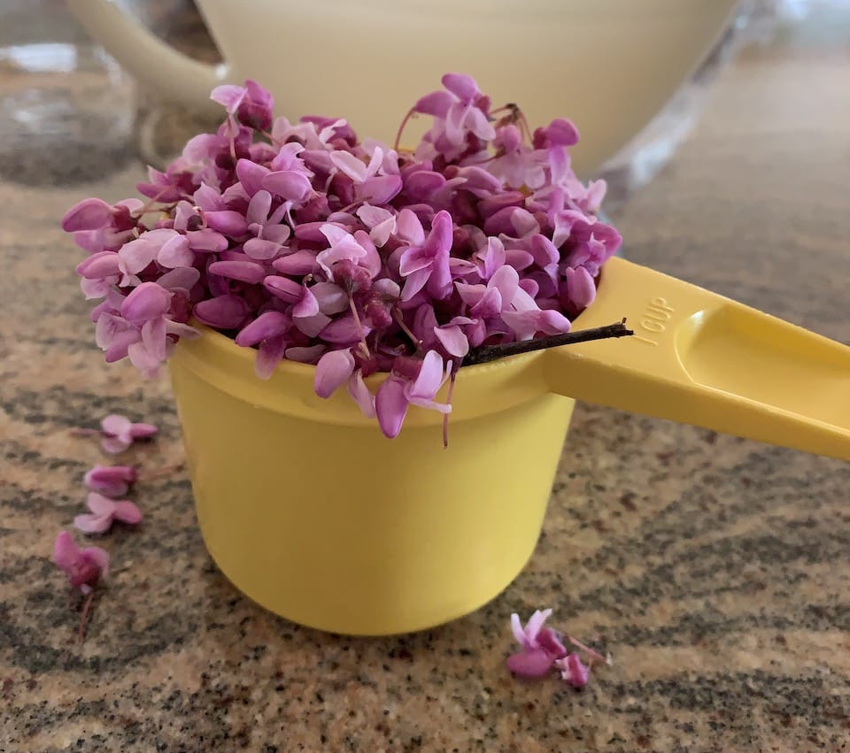 redbuds in cup