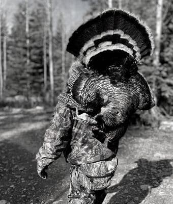 Dad and I: Hunting for Merriams in Colorado feature