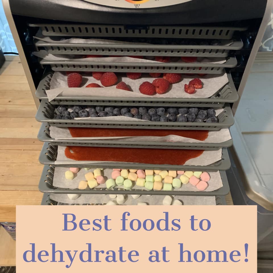 25 BEST FOODS TO DEHYDRATE AT HOME