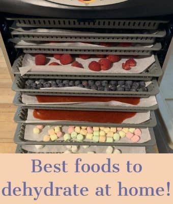 BEST FOODS TO DEHYDRATE AT HOME feature