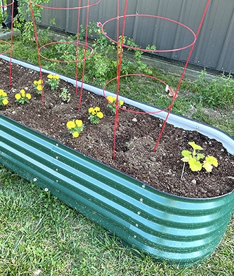 Filling Raised Garden Beds feature