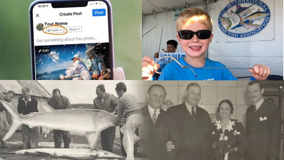 IGFA Social Media