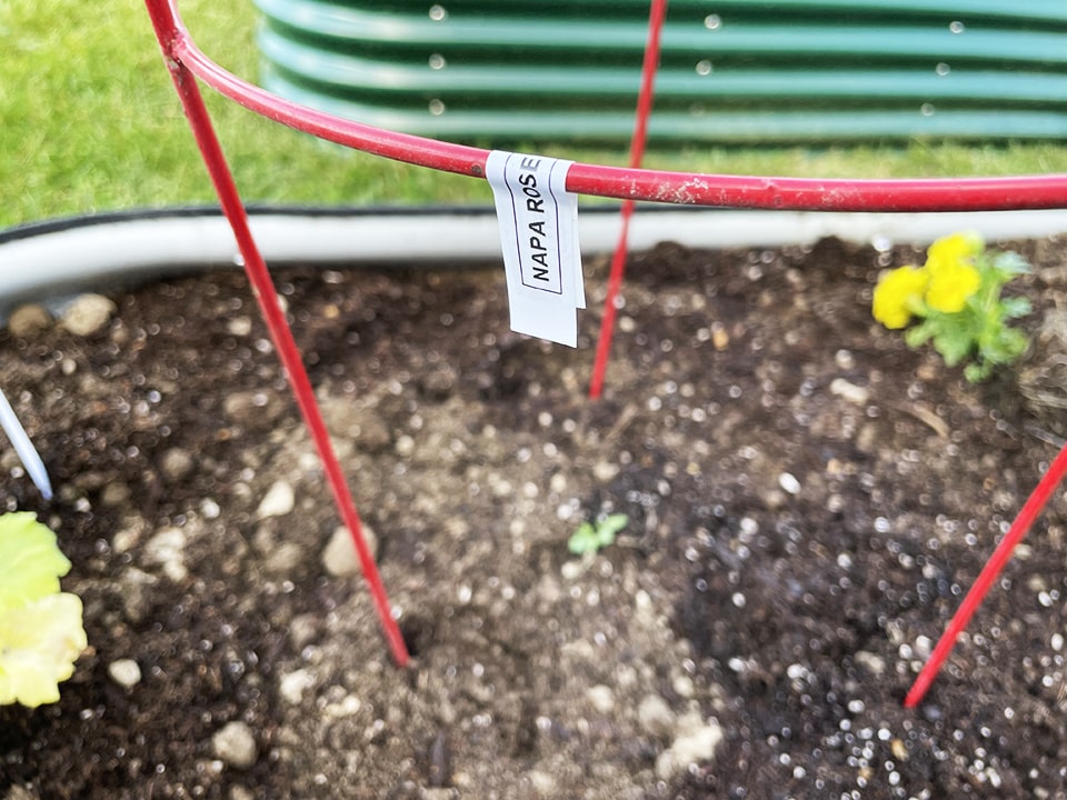 Labeling the Tomato Cages