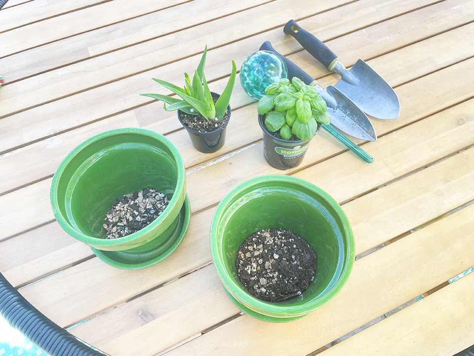 Potting materials for kitchen garden