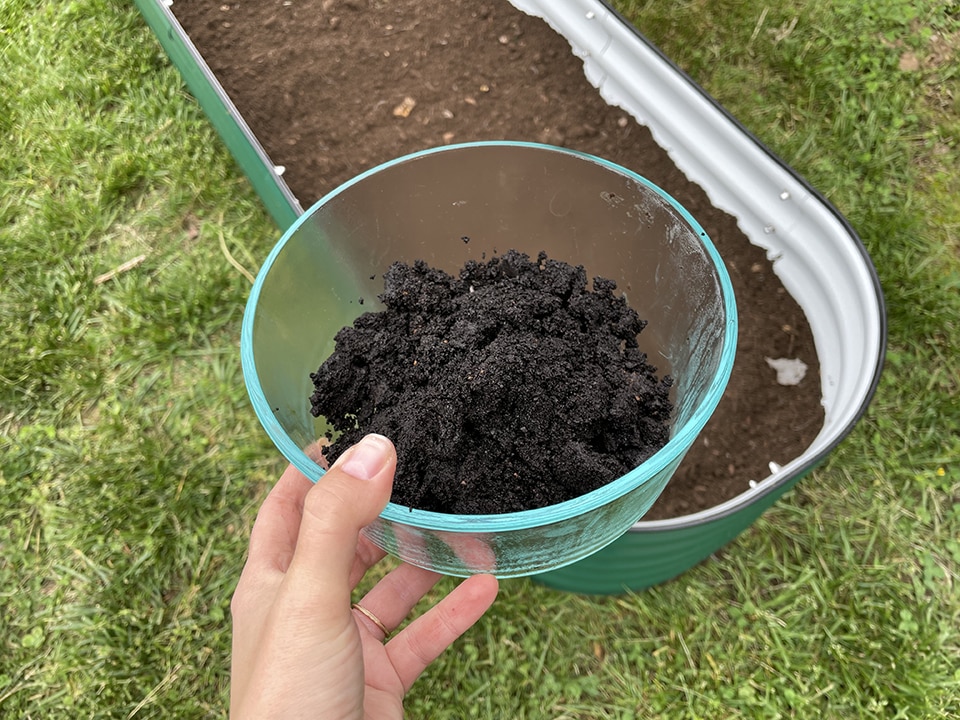 Raised Garden Bed Adding Coffee Grounds