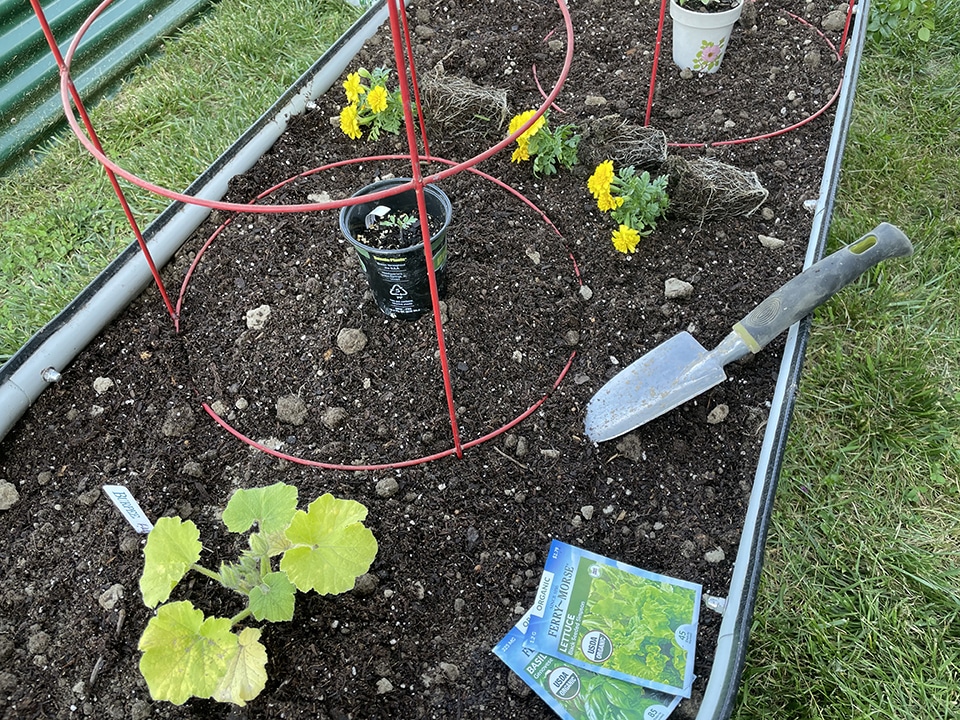 Raised Garden Bed Planning the Plants