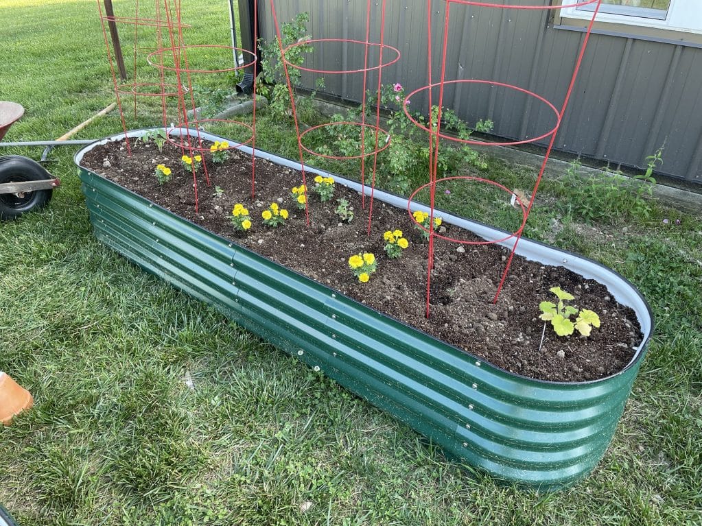 Raised Garden Bed with Plants