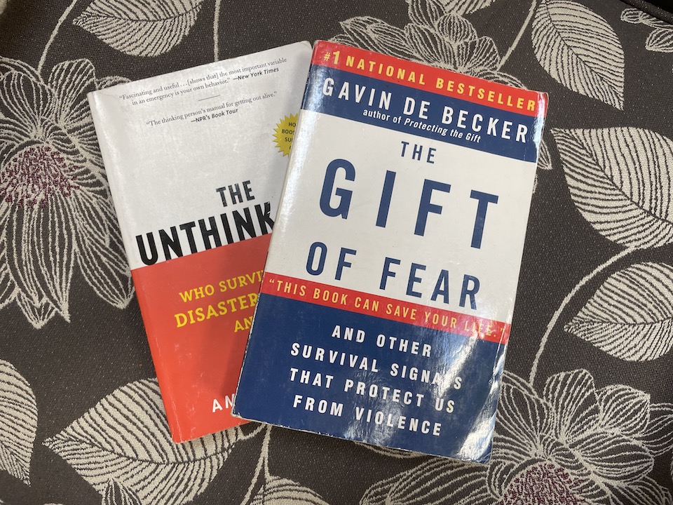 Gift of Fear and The Unthinkable