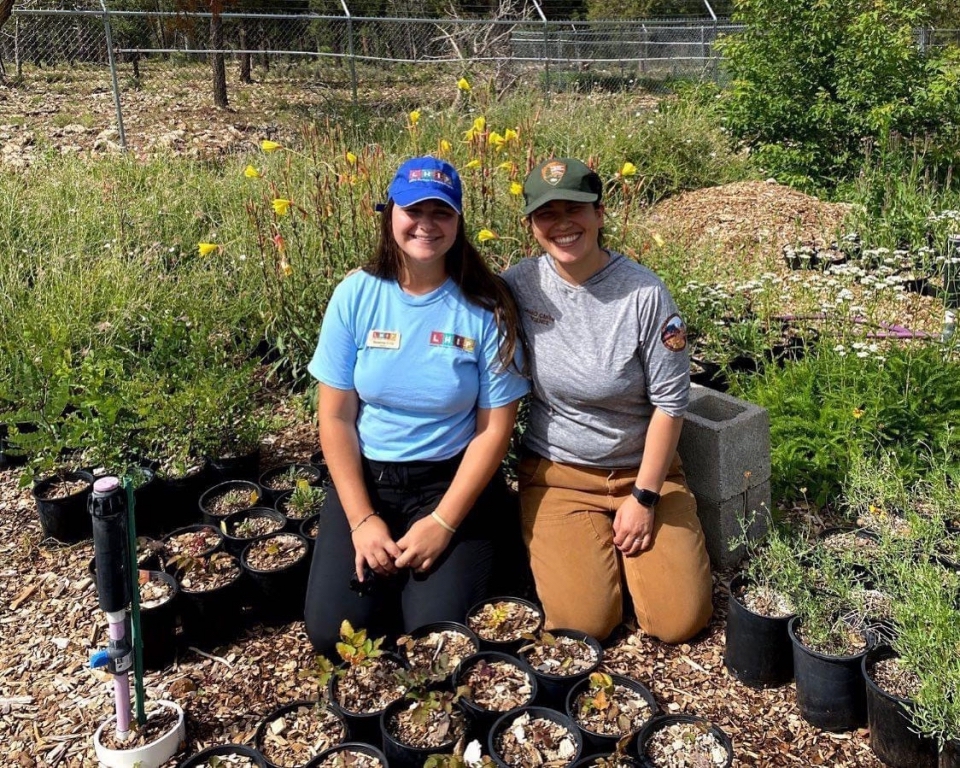 grandcanyonnp_monarchbutterflyrestoration