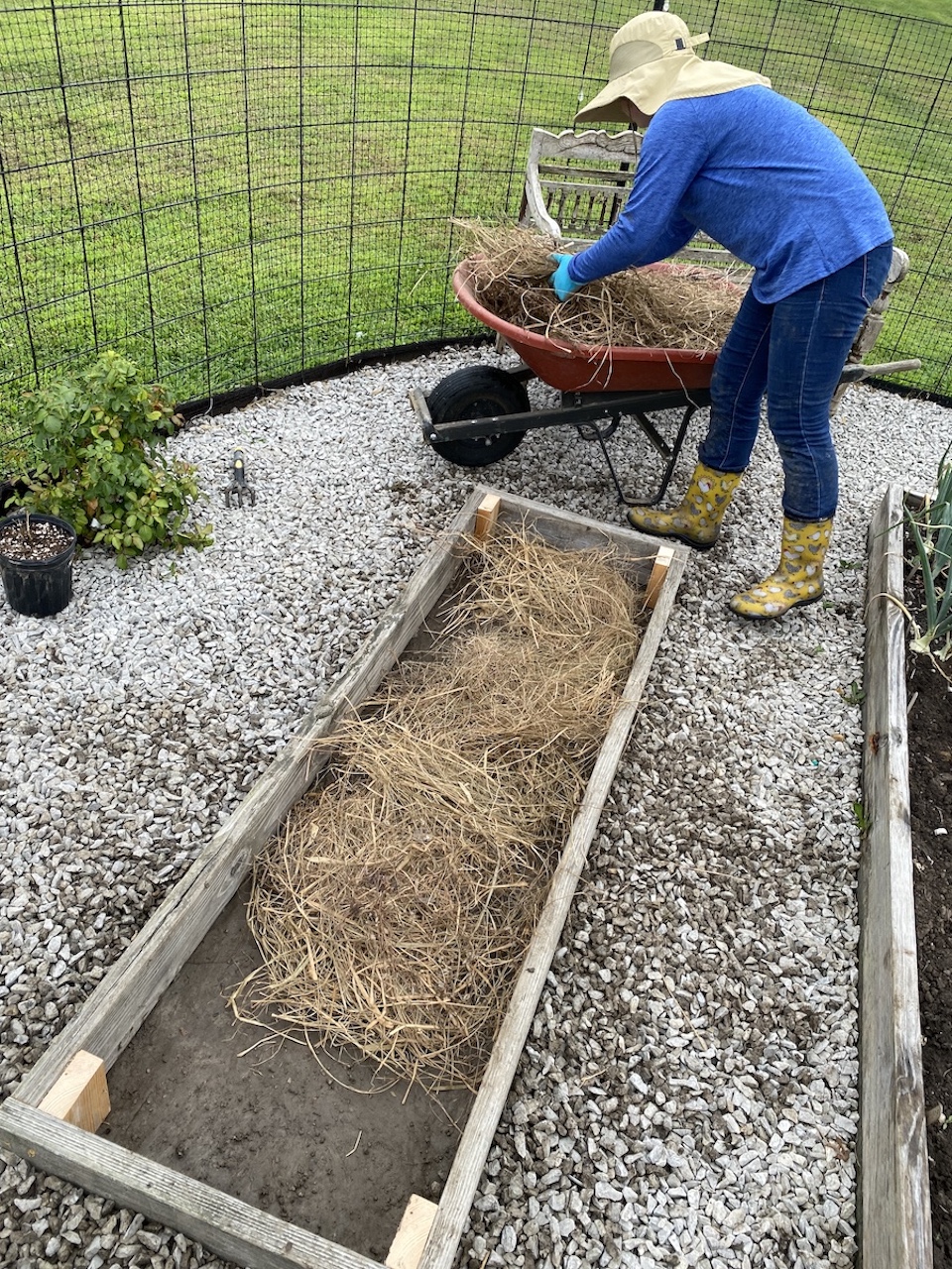 Adding a layer of hay before soil and compost