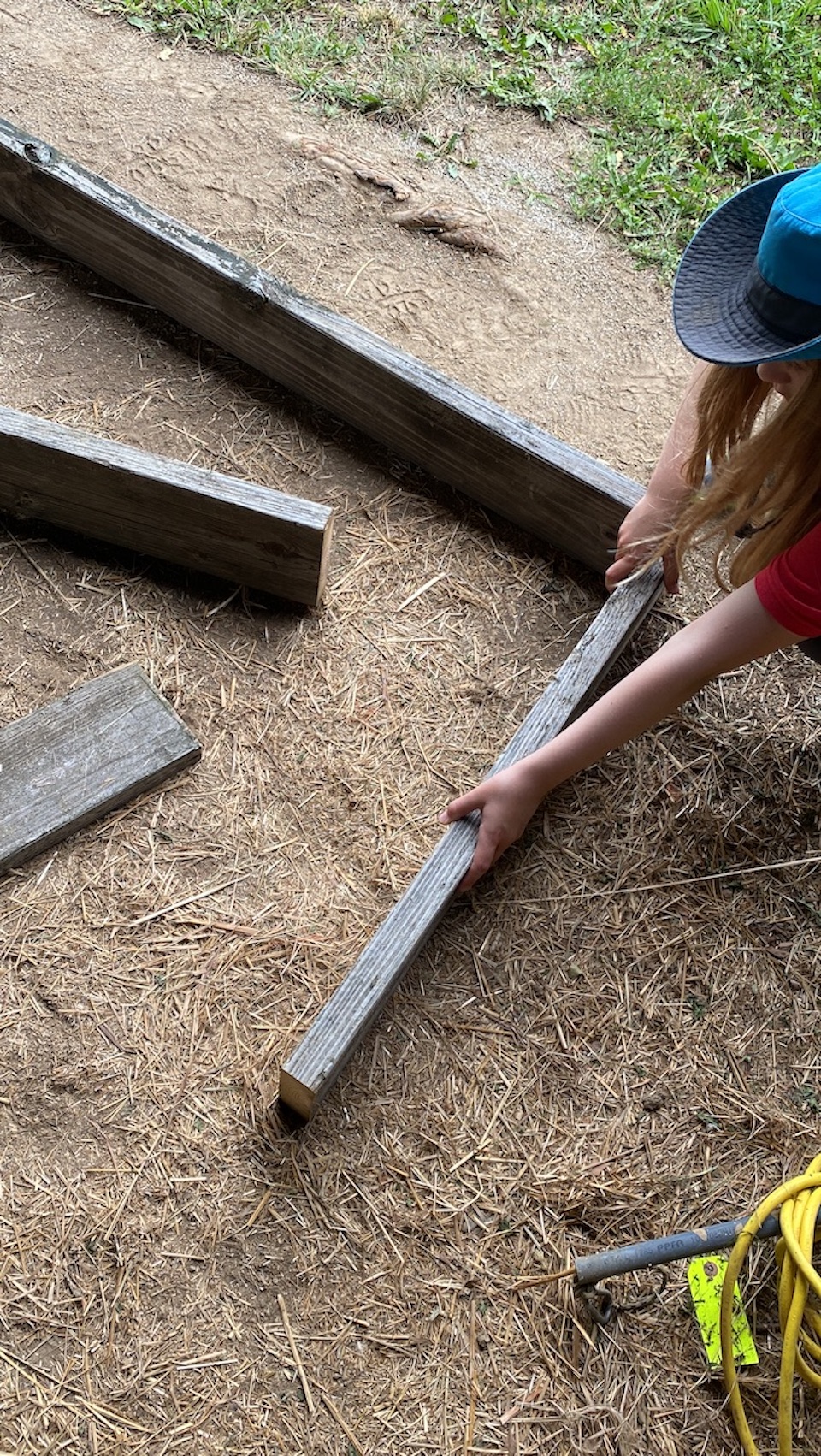 Building the raised bed