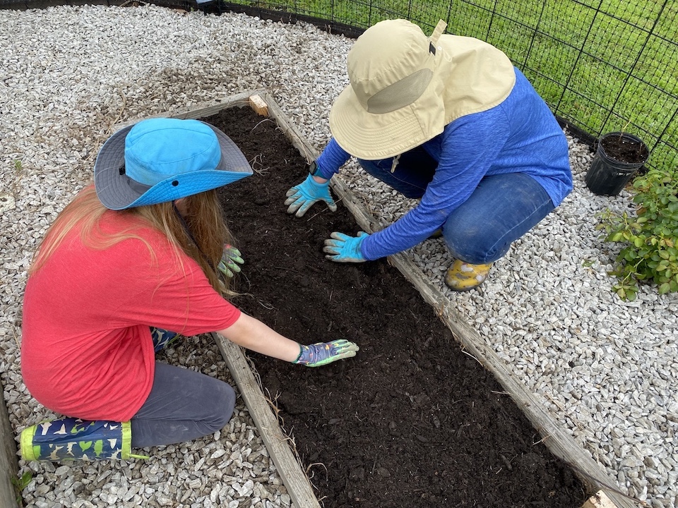 Soil and compost added