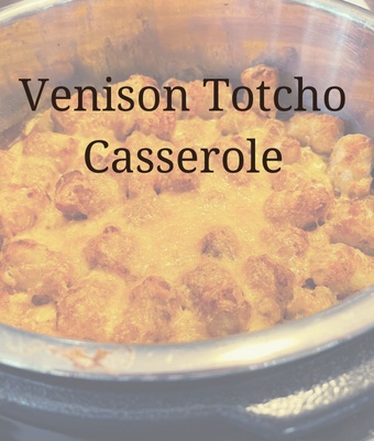 Venison Totchos Casserole Feature