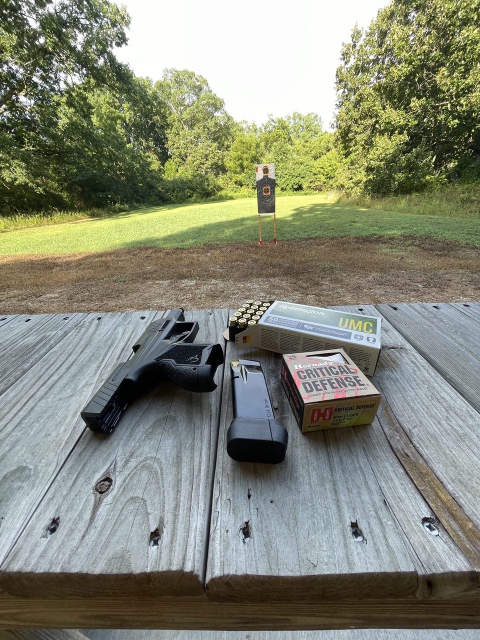 hornady and remington ammo with Taurus GX4XL