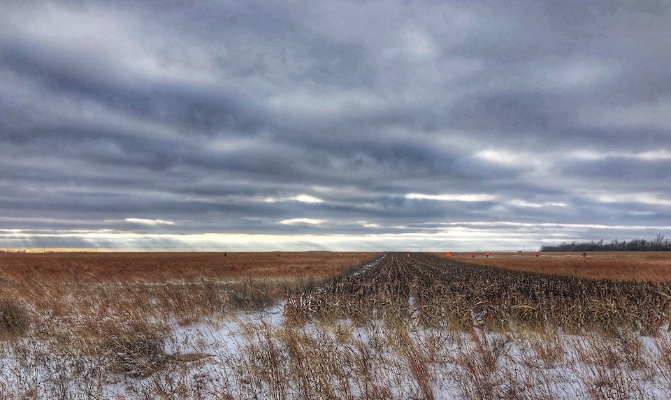 upland hunting scene