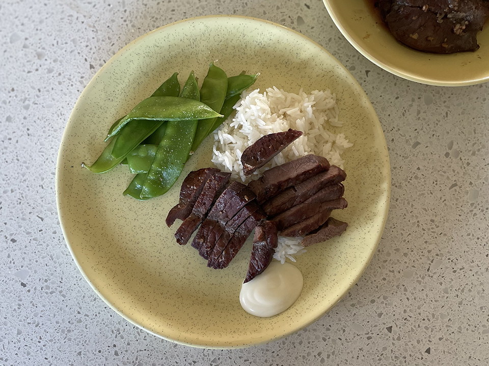 Air Fryer Venison 2