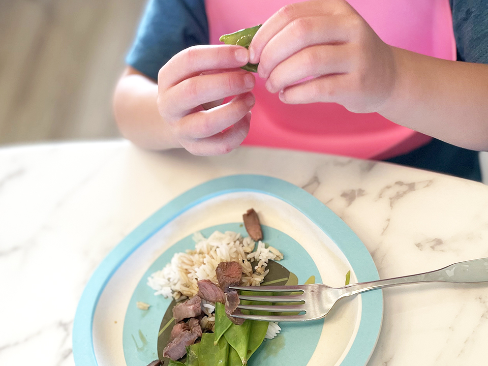 Air Fryer Venison for kids