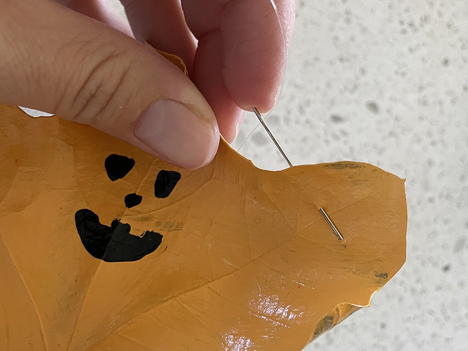 Threading the Ghost Leaf