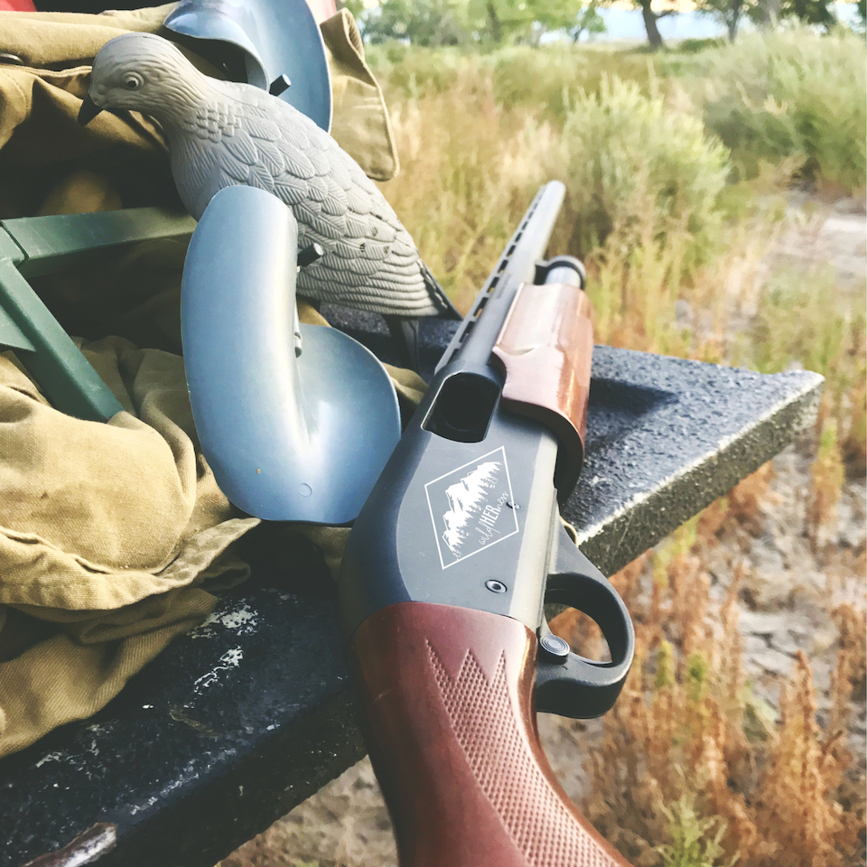 wildHERness Dove hunt shotgun Dove season