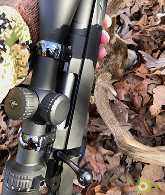 5 Popular Deer Hunting Rifle Calibers feature