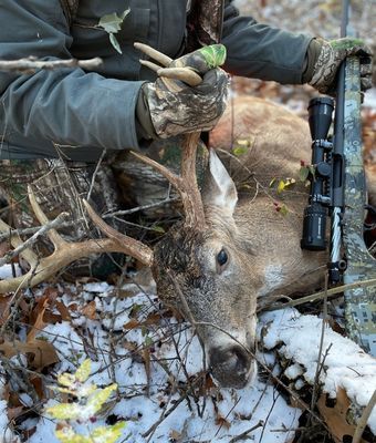 Franchi video big buck deer caliber - 1