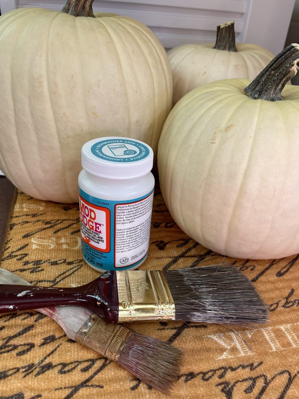 Mod Podge Punkin materials