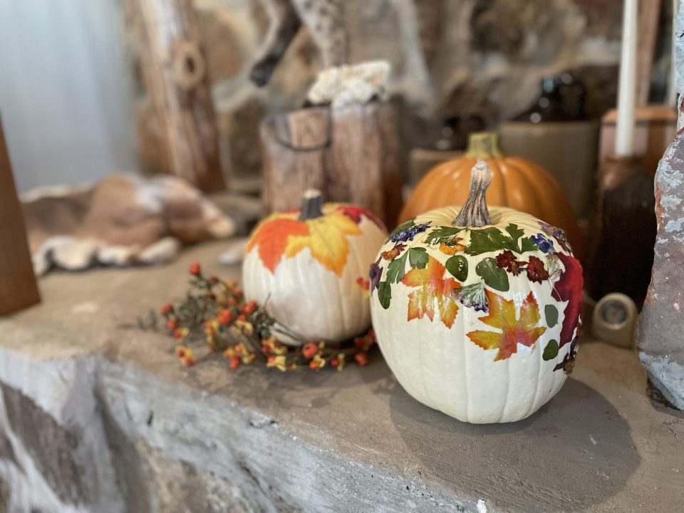 ModPodge pumpkins on hearth