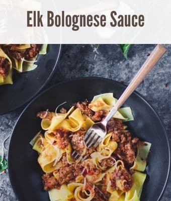 Elk Bolognese Sauce feature